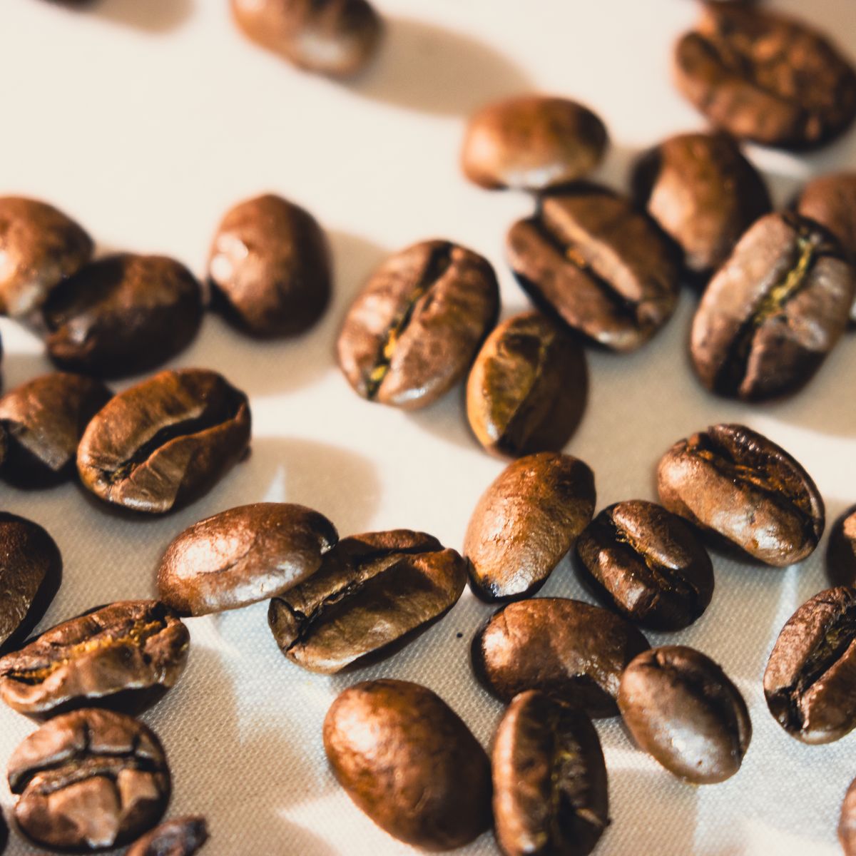 Caturra de la Sierra — bolsa de café de Brunca, Costa Rica