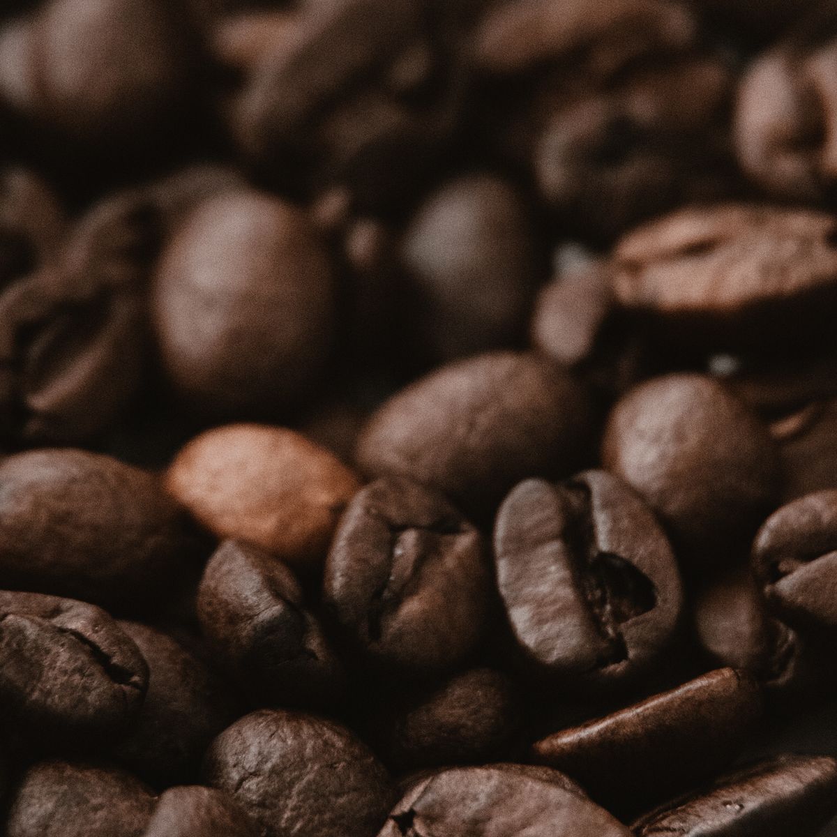 Mundo Novo de Cerrado — bolsa de café de Cerrado Mineiro, Brasil